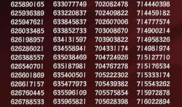 二周年最新爆料新闻,最新爆料带你领略精彩瞬间